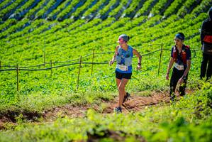 BIB: 
                            <button type="button" onclick="openModal(19161677)" class="btn btn-primary btn-sm float-right btn-popup" data-toggle="modal" data-target=".modal-high-quality">
                        <i class="fas fa-shopping-cart"></i> Add to Cart
                    </button>
                                            <button type="button" onclick="isThisMe(19161677, true)" class="btn btn-success btn-sm float-right btn-popup btn-isme hidden" data-toggle="tooltip" data-placement="bottom" title="นี่คือรูปของคุณใช่ไหม คลิกที่นี่เพื่อเอาเข้าอัลบั้ม">
                        <i class="fas fa-plus"></i> Add to album
                    </button>
                    <button type="button" onclick="isThisMe(19161677, false)" class="btn btn-warning btn-sm float-right btn-popup btn-isnotme hidden">
                        <i class="fas fa-ban"></i> Remove from album
                    </button>